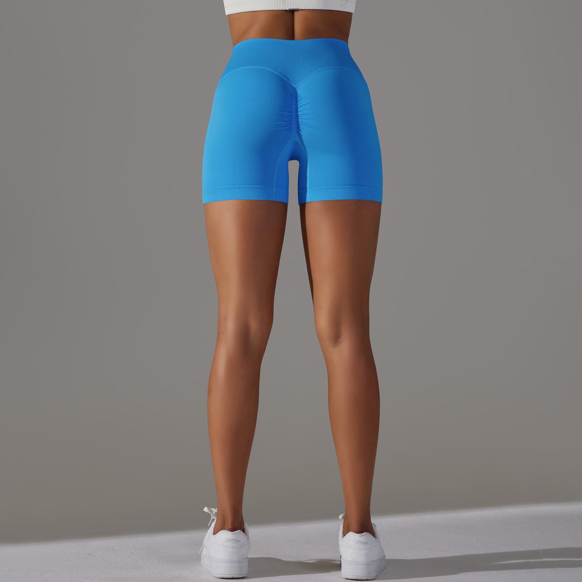 Performance Fitness Shorts