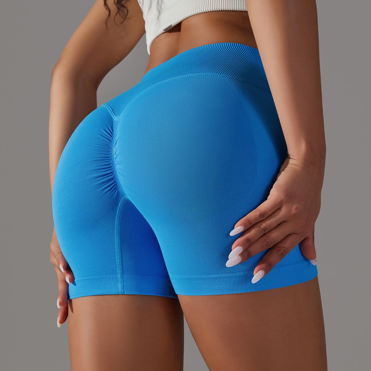 Performance Fitness Shorts